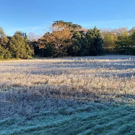 Cosy T3 Dans Corps De Ferme L Ecureuil Apartament Vieillevigne (Haute-Garonne)